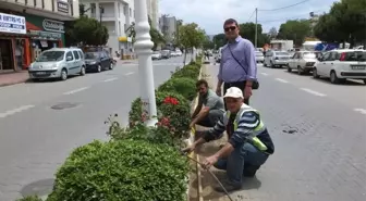 Burhaniye'de Yeşil Alanlara Otomatik Sulama Sistemi