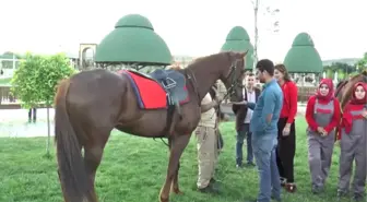 Türkiye'nin Ilk Lisanslı Kadın Seyisleri Mezun Oldu