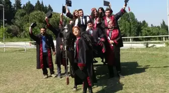 Atçılık ve Antrenörlüğü Mezunlarından Diplomalı Gösteri 2