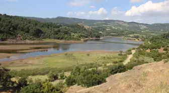 Çanakkale'de Altın Madeni Tepkisi