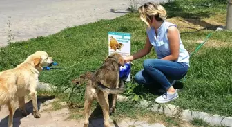 Ayvalık'ta Can Dostlara Otomatik Suluklar Kazandırılıyor