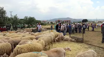 Kırsalda Kalkınma Desteğine Devam