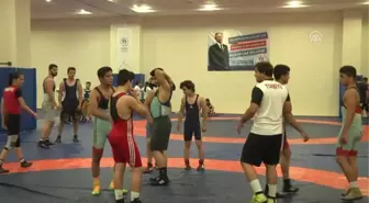 Hevesle Başladı, Avrupa Ikincisi Oldu