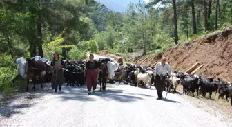 Antalya'da Yörüklerin Yayla Göçü Başladı