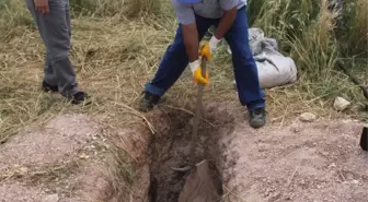 Bakü-Tiflis-Ceyhan Boru Hattına Vana Takıp Bir Tanker Ham Petrol Çaldılar