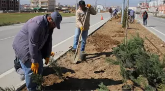 Günkırı Beldesi Yeşilleniyor