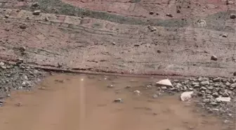 Yoldaki Toz ve Çukuru 'Halı'Yla Çözdüler