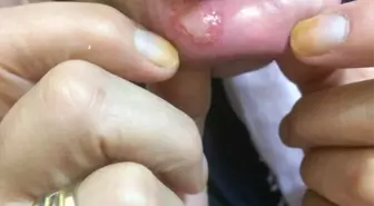 Pideden Öyle Bir Şey Çıktı Ki: Dişleri Elinde Kaldı