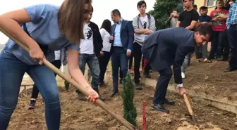 CHP'li Gençler Şehitler Anısına Fidan Dikti