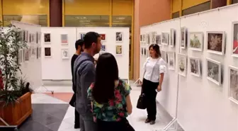 1. Uluslararası Posta Sanatı Yarışması - Edirne