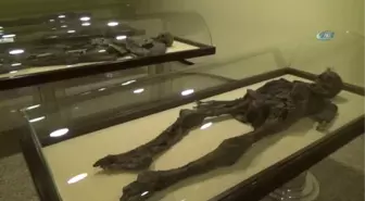 800 Yıllık Müslüman Türklerin Mumyalanmasında Tuz, Soğan ve Bal da Kullanılmış
