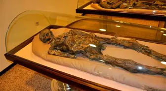 800 Yıllık Müslüman Türklerin Mumyalanmasında Tuz, Soğan ve Bal da Kullanılmış