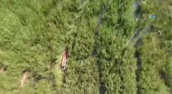 Beyşehir Gölü'nde Elektroşoklu Avcılar Droneli Takiple Suçüstü Yakalandı