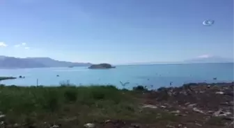 Bu Görüntüler Dünya Çevre Gününde Çekildi...van Gölü Çöplüğe Dönüştü
