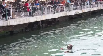 Denizde 1 Saatte Çıkardıklarını Kıyıda Sergiledi