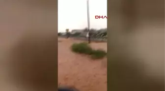 Denzili Bekilli'de Yağış Tarım Arazilerini Vurdu