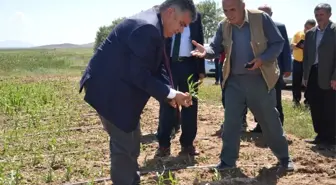 Ereğli'de Dolu Yağışının Ardından Arazide İncelemeler Sürüyor