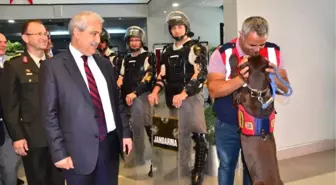 Jandarmanın İz Takip ve Narkotik Köpeğine İlgi