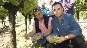 Manisa'daki Dolu Yağışı