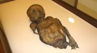 Yemek Malzemeleriyle Mumyalama Yapılıyor! Tuz, Soğan ve Bal Kullanılmış