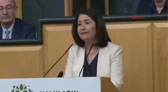 Serpil Kemalbay: Hezer ve Sarıyıldız'ın Vatandaşlıktan Çıkarılması Kararı Gülen'in Iadesine Engel...
