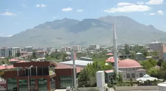 Van'da Polen Sıkıntısı