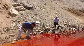 Kırmızı gölette Tarımsal Yönden inceleme yapıldı