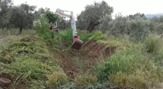 Kayalıoğlu'nda Taşkınlar Önlendi