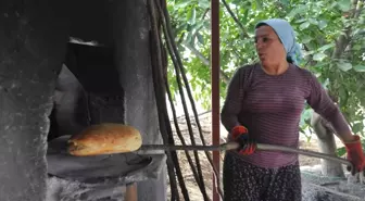 Seferihisar'da Peynir, Ekmek Şenliği