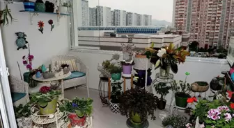 En Güzel Balkon ve Bahçeler Seçildi