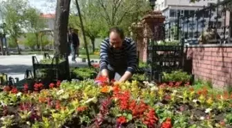 Beypazarı'da Çiçeklendirme Çalışmaları