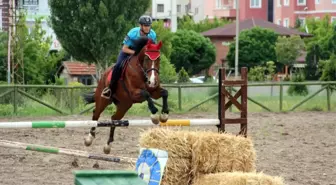 Jandarmanın Göz Bebeği Eğitimli At ve Köpeklerin Gösterisi Büyüledi