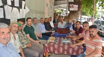 Salihli'de Kiraz Üreticisi Dertli