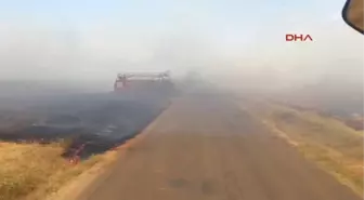 Şanlıurfa Ceylanpınar'da 100 Dönümde Ekili Buğday Yandı