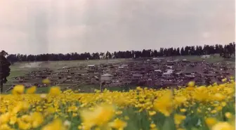 Şenkaya'da Yayla Şenlikleri Hazırlıkları