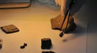 Türk Bilim Adamlarından 'Meteor Yasası' Talebi