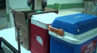 Beyin Ölümü Gerçekleşen Kadının Organları 4 Hastaya Umut Oldu