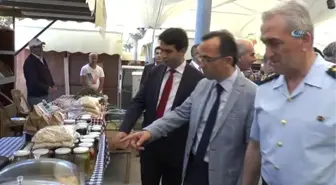 Başkan Can Tabakoğlu: 'Şile'deki Kırsal Arazinin Yönetim Kararlarını Alacağız'