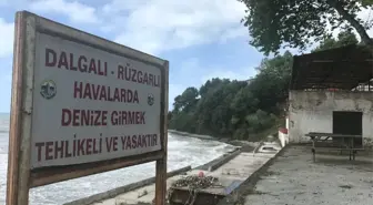 Alaplı Plajı Yeni Sezona Hazır