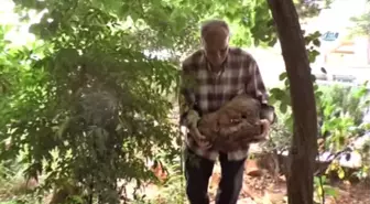 Taş Koleksiyonu Evinden Taştı
