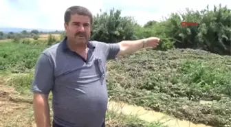 Antalya Manavgat'ta Yağmur Sele Neden Oldu