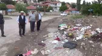 Belediyeler Sahip Çıkmayınca Çöpler Ortada Kaldı