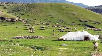 Göçerler Yaylaların Yolunu Tuttu - Elazığ