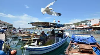 Foça Belediyesi Deniz Öyküleri Ödülü'ne Başvurular Uzatıldı