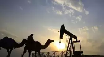 Suudi Arabistan 15,000 Katar Devesini Sınır Dışı Etti