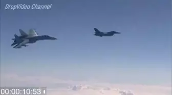 Baltık Denizi'ndeki 'İt Dalaşı'nın Görüntüleri