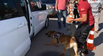 Bandırma İdo İskelesinde Köpekli Arama