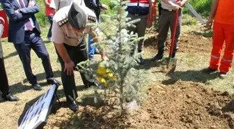 Jandarma Devrek'te Ağaç Dikti