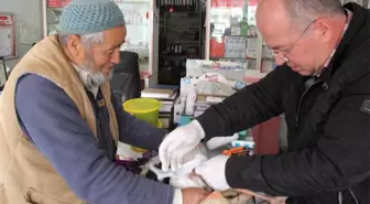Yaralı Leyleğe Belediye Sahip Çıktı