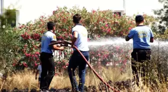 Bodrum'da Korkutan Yangın